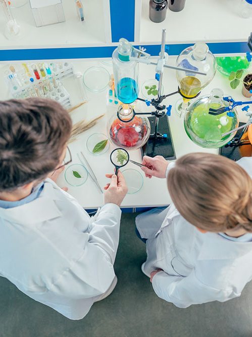 Bureau expert HSE et produits chimiques Bureau expert HSE et produits chimiques