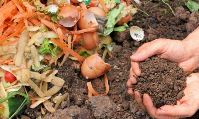 déchets compost